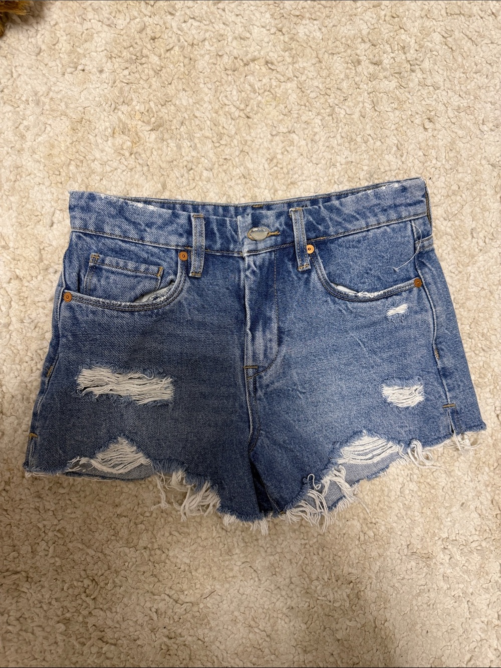 NWOT Blank NYC Distressed Blue Denim Jean Shorts